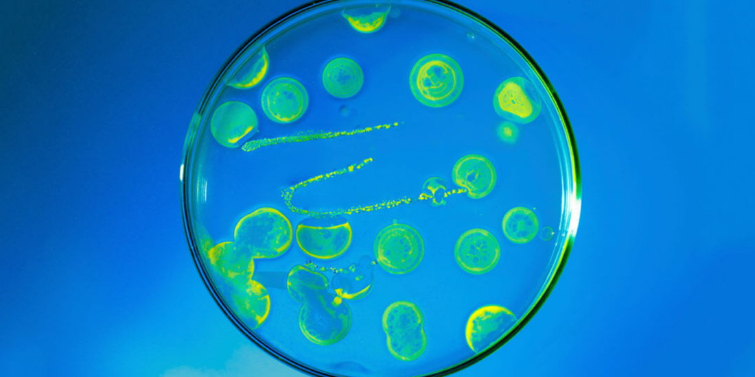 Anti-infectives
