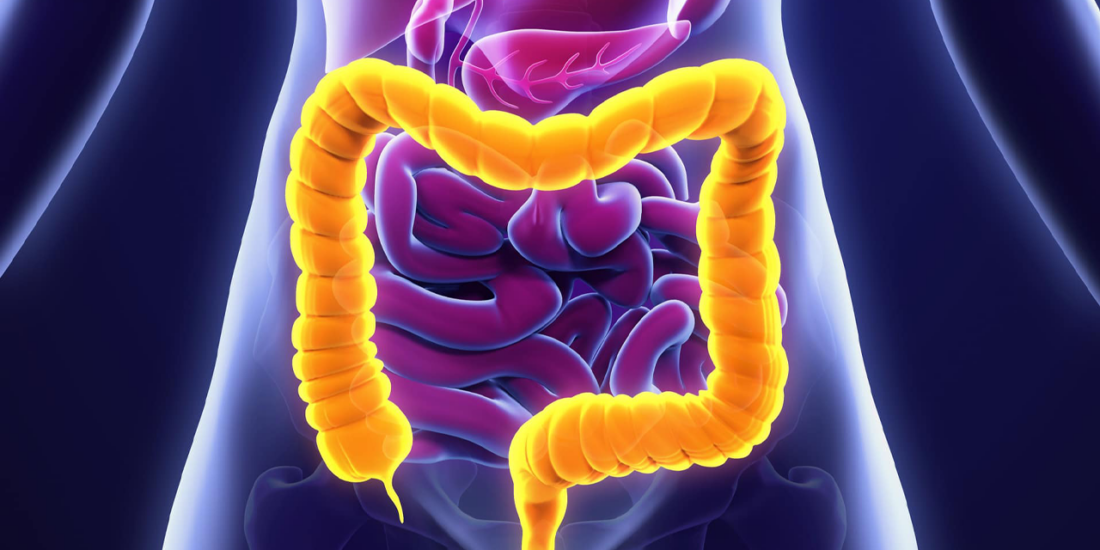 Gastroenterology